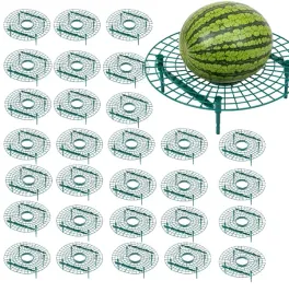 30x-stojak-na-truskawki-30cm-podpora-truskawek-poziomek-czyste-zdrowe-owoce