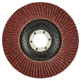 sciernica-listkowa-125-x-22-2-mm-k60-55h988