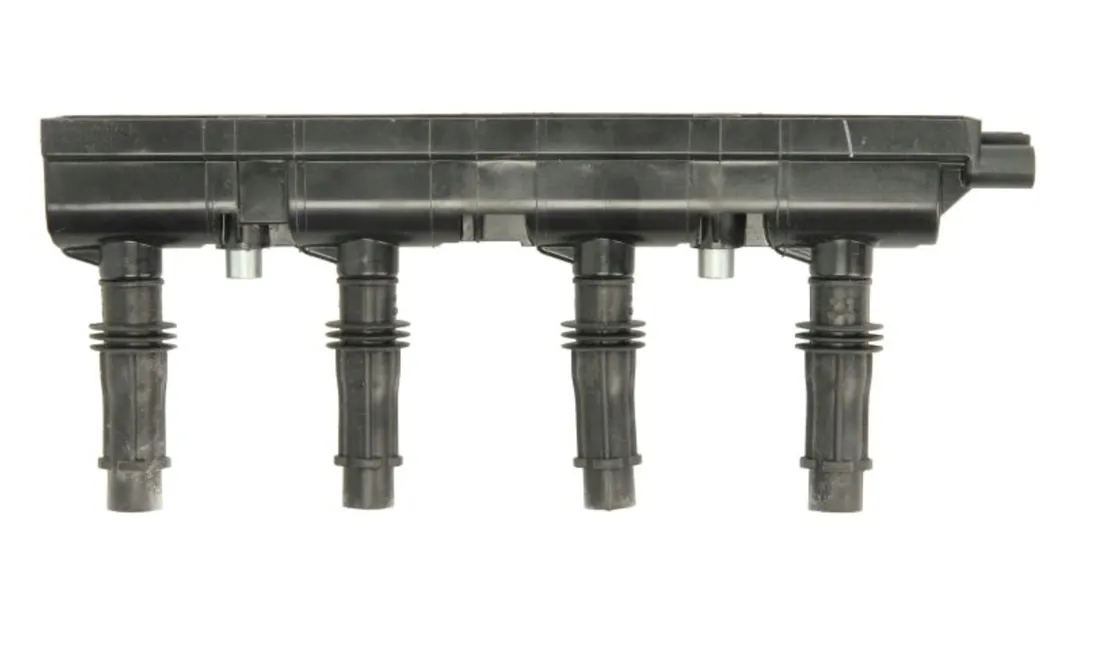 cewka-zaplonowa-delphi-gn10401-12b1