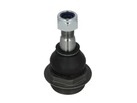 sworzen-wah-renault-master-10-l-p-delphi