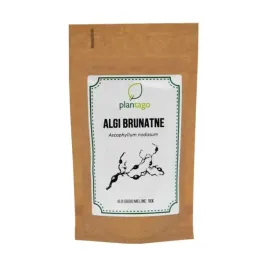 algi-brunatne-ascophyllum-nodosum-100g