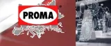 dluto-do-drewna-proma-typ-uchwytu-inny