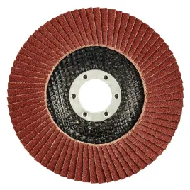 sciernica-listkowa-125x22mm-k120-graphite-55h991