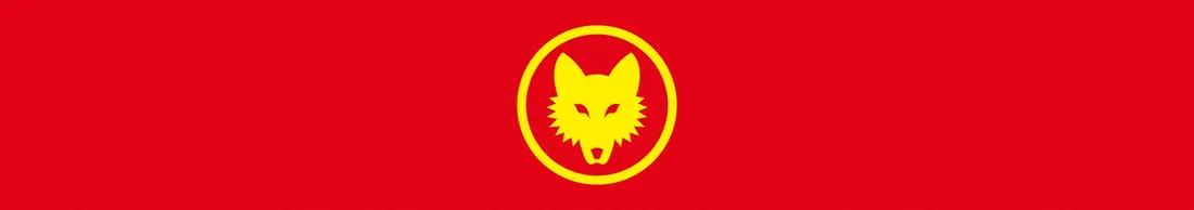 miotla-wolf-garten-reczne