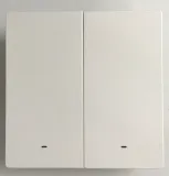 przelacznik-scienny-zigbee-smart-wall-switch-2-kanalowy-zbm5-2c-86w-rodzaj-przelacznik
