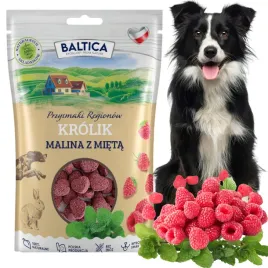 baltica-krolik-malina-mieta-smaczki-treningowe-dla-psa-trenerki-do-tresury