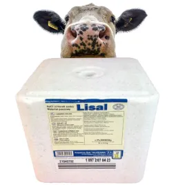 lizawka-solna-klodawska-bydla-owiec-koz-zwierzyny-plowej-lisal-sol-10-kg