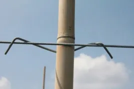stebofix-21cm-do-tyczki-kolka-bambusa-750szt