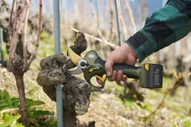 alpen-wildhorn-40-szwajcarski-sekator-elektryczny-z-ostrzem-felco-ciecie