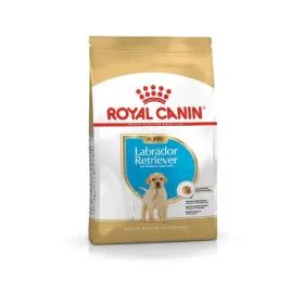 royal-canin-bhn-labrador-retriever-puppy-3kg-karma-sucha-dla-szczeniat