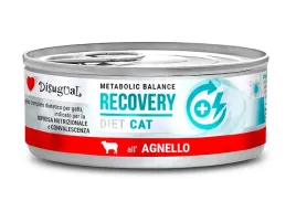 disugual-cat-recovery-85g-jagniecina