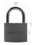 klodka-zeliwna-30-mm-imp-diamanto-typ-klodki-klodka-jarzmowa