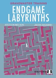 endgame-labyrinths-by-jacob-aagaard-and-steffen-nielsen-twarda-okladka