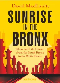 sunrise-in-the-bronx-by-david-macenulty-miekka-okladka
