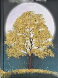 pamietnik-b5-peter-pauper-wielokolorowy