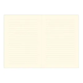 notes-a5-peter-pauper-wielokolorowy