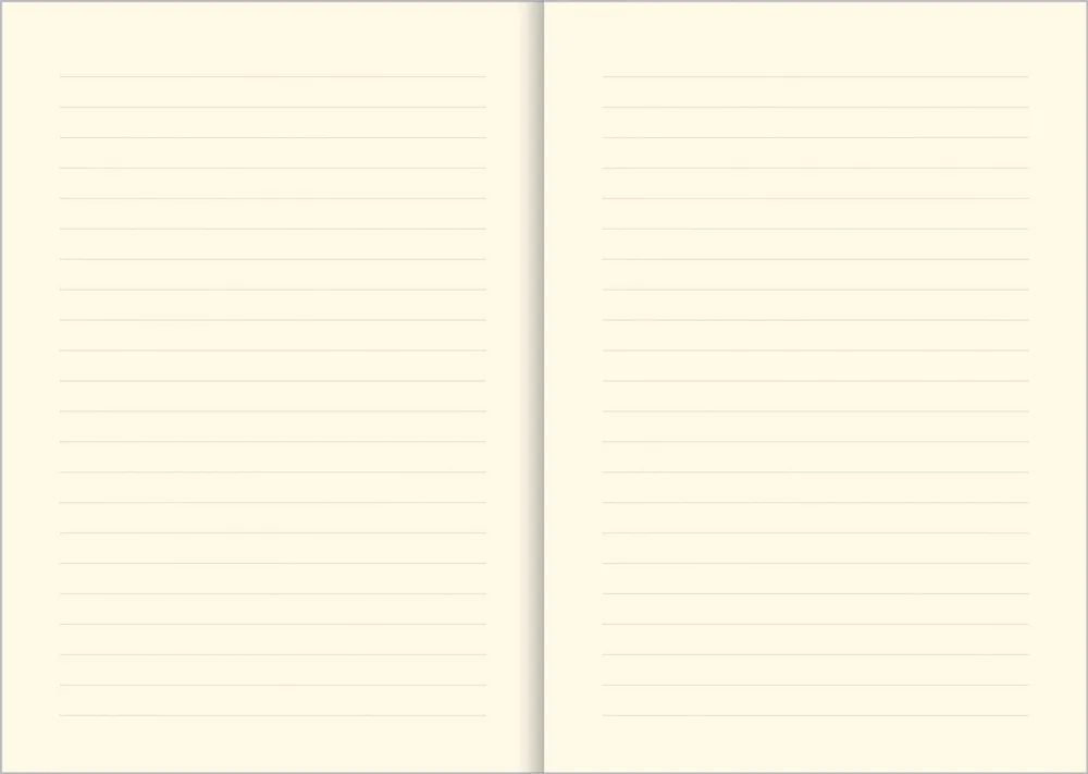 notes-a5-peter-pauper-wielokolorowy-rozmiar-a5