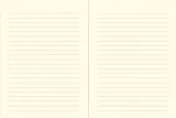 notes-b5-peter-pauper-czerwony-rozmiar-b5