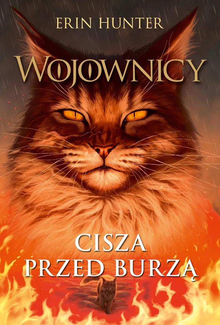 Grafika w opisie produktu