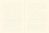 notes-peter-pauper-brazowy-okladka-twarda