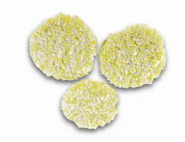 pady-polerujace-do-karcher-fp-303-2-863-198-0