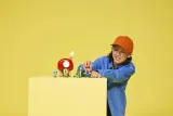 lego-super-mario-toad-i-domowka