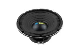 glosnik-dibeisi-10-cali-model-dbs-ps1005-8