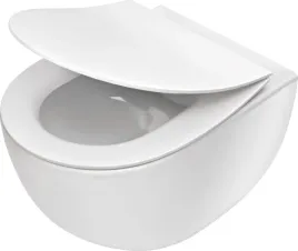 miska-wc-wiszaca-bezkolnierzowa