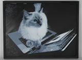 timothy-instaluje-linuxa-obraz-3d-chroma