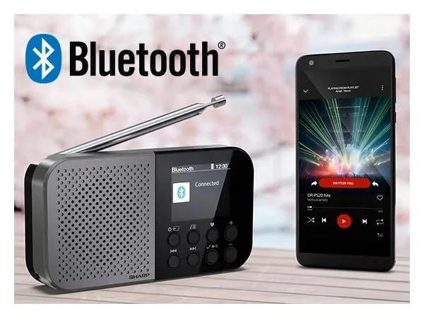 sharp-radio-cyfrowe-bluetooth-5-3-usb-c-szare-marka-sharp