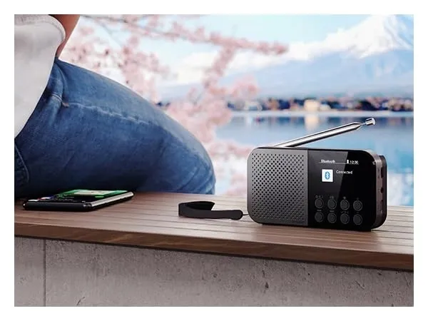 sharp-radio-cyfrowe-bluetooth-5-3-usb-c-szare-model-dr-p520gy