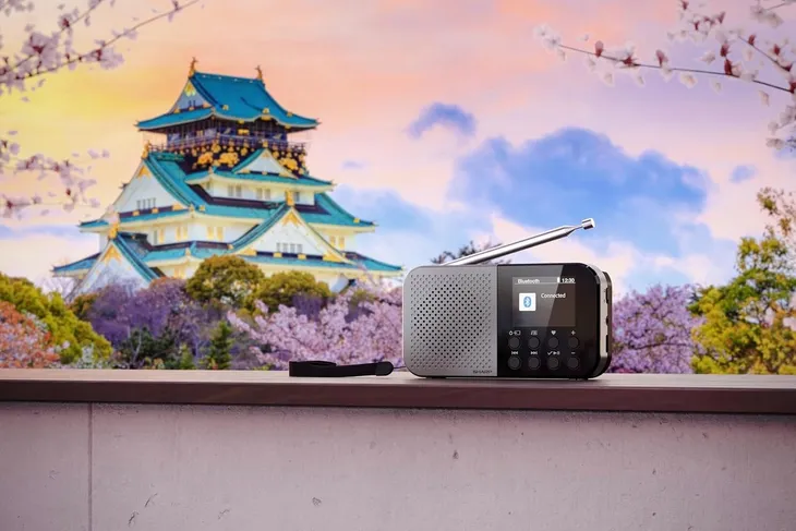 sharp-radio-cyfrowe-bluetooth-5-3-usb-c-szare-waga-produktu-0-4-kg