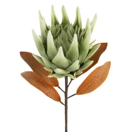 kwiat-sztuczny-protea-76-cm-zielony-komplet-6-szt