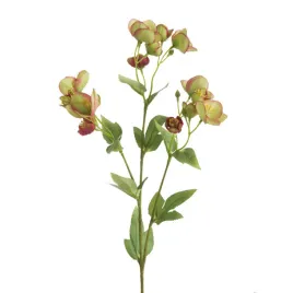 kwiat-sztuczny-anemon-40-cm-zielony-komplet-6-szt