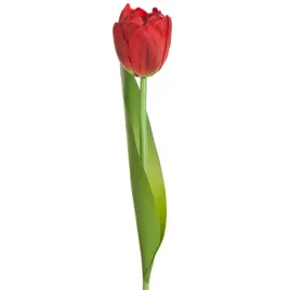 kwiat-sztuczny-tulipan-37-cm-czerwony-komplet-6-szt