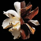 givenchy-l-interdit-parfum-35ml-kod-producenta-3274872495470