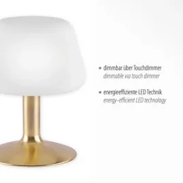elegancka-lampa-biurkowa-paul-neuhaus-do-biura-i-salonu-nowoczesna