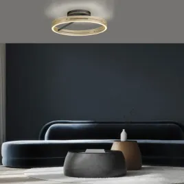nowoczesna-elegancka-lampa-sufitowa-do-salonu-pure-loop-paul-neuhaus