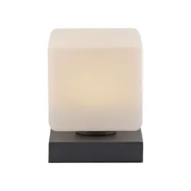 elegancka-lampa-biurkowa-paul-neuhaus-do-salonu-biura-i-gabinetu
