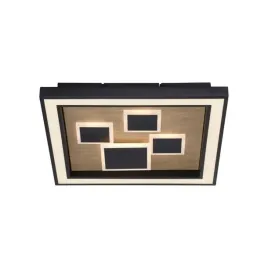 nowoczesna-lampa-sufitowa-eliza-do-salonu-paul-neuhaus-stylowa