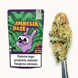 susz-cbd-amnesia-haze-cbd