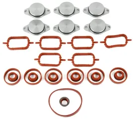 zaslepki-kolektora-ssacego-bmw-2-5d-3-0d-3-5-d-m57