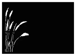 przeslo-typ-floral-2-x-175-m-czarny