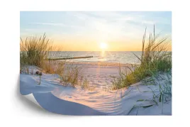 fototapeta-plaza-morze-wydmy-vinyl-gladki-520x318