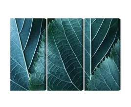 obraz-wieloczesciowy-liscie-w-skali-makro-z-efektem-3d-canvas-naturalny-150