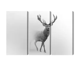 obraz-wieloczesciowy-dostojny-jelen-we-mgle-canvas-naturalny-180x120