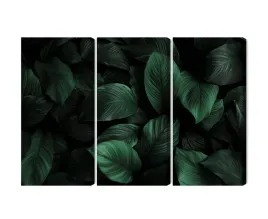 obraz-wieloczesciowy-zielone-liscie-w-skali-makro-canvas-150x100