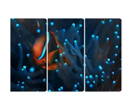 obraz-wieloczesciowy-blazenek-w-anemonie-3d-canvas-naturalny-150x100