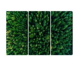 obraz-wieloczesciowy-widok-z-lotu-ptaka-na-zielony-las-canvas-180x120