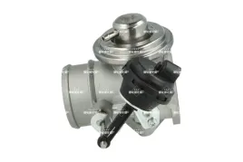 nrf-48747-zawor-agr-egr